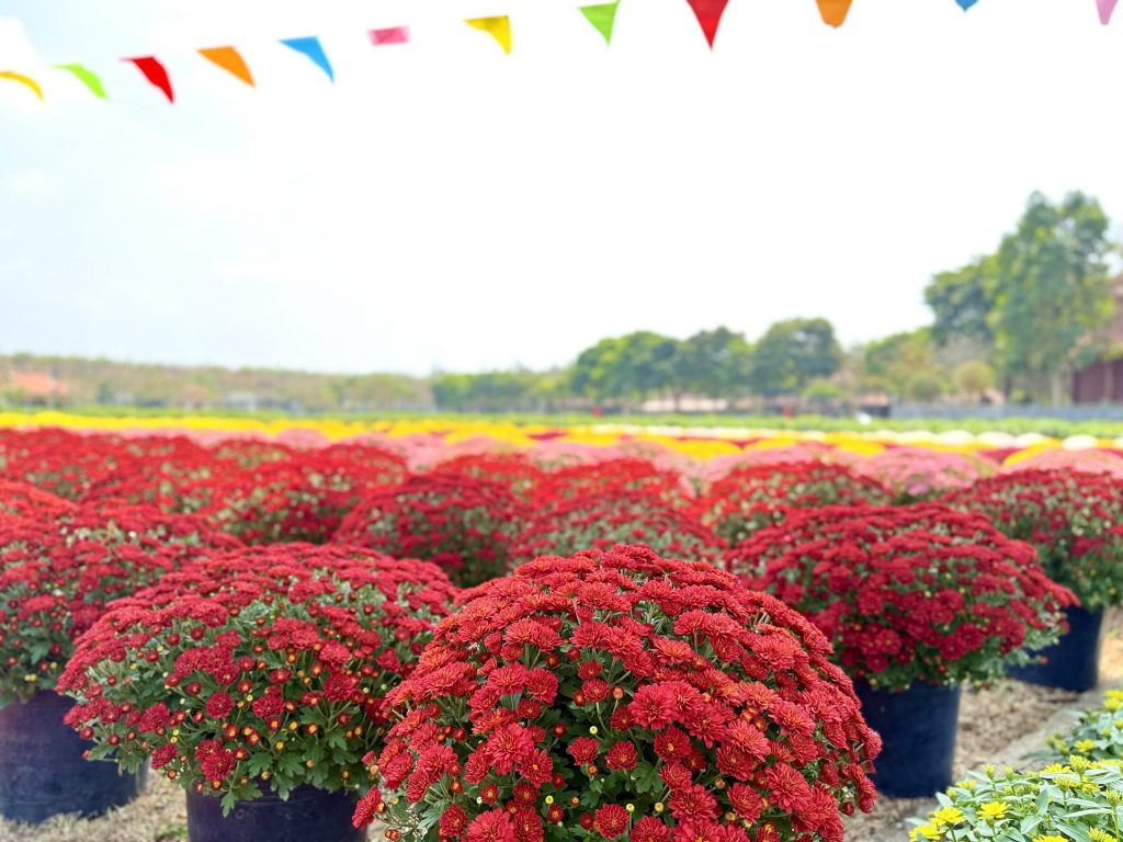 Kinh nghiệm chọn đất nghĩa trang 